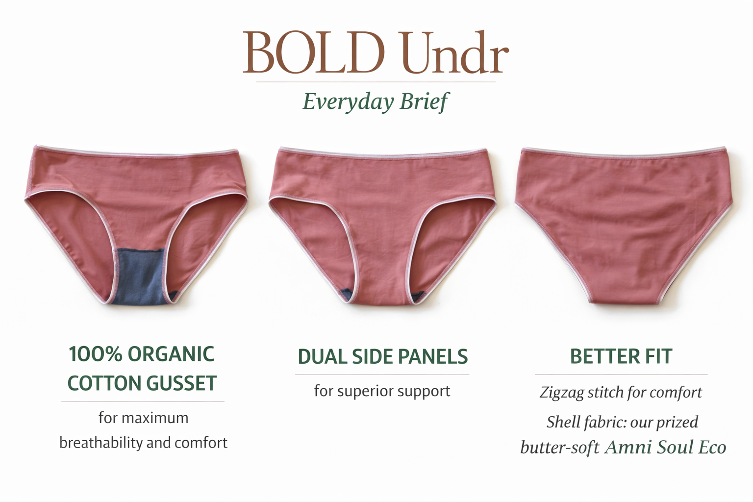 The Everday Brief